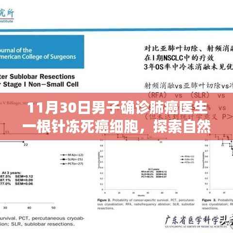 探索自然美景之旅,针冻科技治疗肺癌,心灵宁静与科技共融