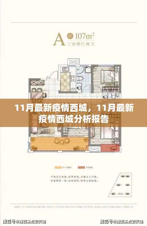 11月最新西城疫情分析报告,现状与趋势观察