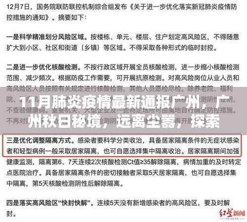 广州秋日秘境,疫情下的别样旅行之道,探索自然美景远离尘嚣的宁静之地