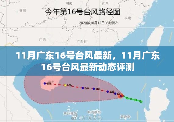 广东11月台风动态,最新评测报告揭示台风发展趋势