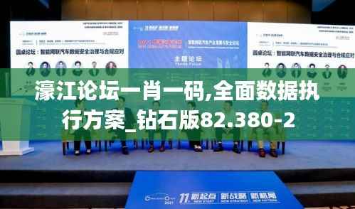 濠江论坛一肖一码,全面数据执行方案_钻石版82.380-2