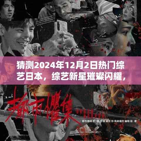 2024年日本综艺新星预测,璀璨新纪元及其影响