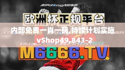 内部免费一肖一码,持续计划实施_vShop49.843-2