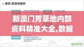 新澳门芳草地内部资料精准大全,数据分析驱动决策_1080p10.562