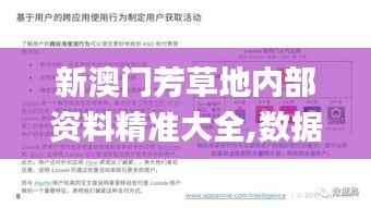 新澳门芳草地内部资料精准大全,数据分析驱动决策_1080p10.562