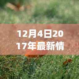 情侣启程探索自然美景之旅,最新情侣QQ头像记录美好瞬间(2017年12月版)