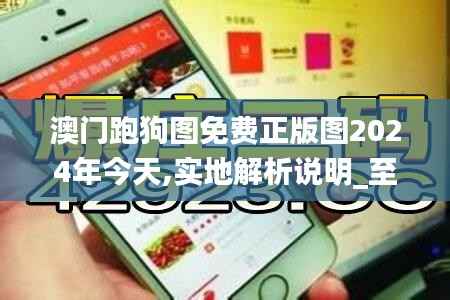 澳门跑狗图免费正版图2024年今天,实地解析说明_至尊版7.992