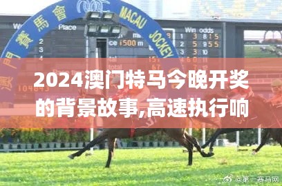 2024澳门特马今晚开奖的背景故事,高速执行响应计划_CT3.166