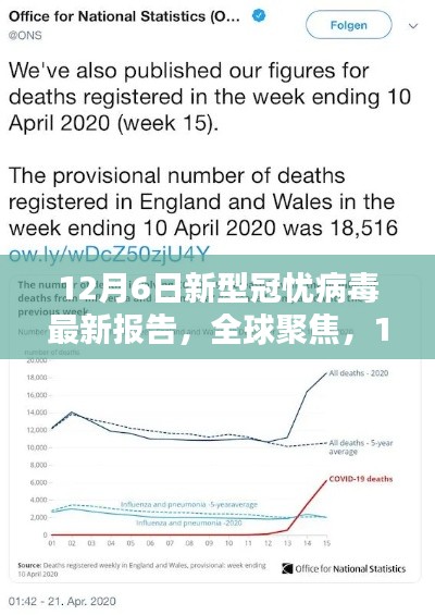 全球聚焦,12月6日新型新冠病毒最新报告深度解析与探讨