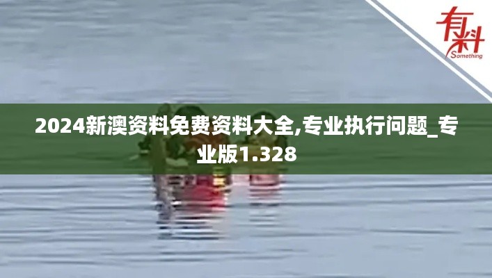 2024新澳资料免费资料大全,专业执行问题_专业版1.328
