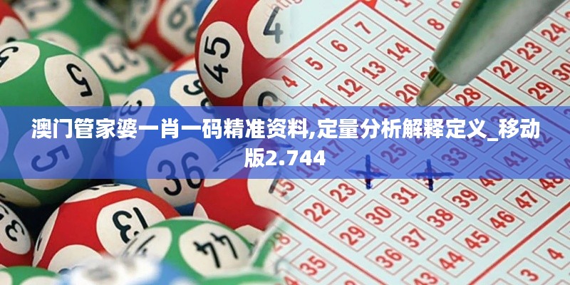 澳门管家婆一肖一码精准资料,定量分析解释定义_移动版2.744