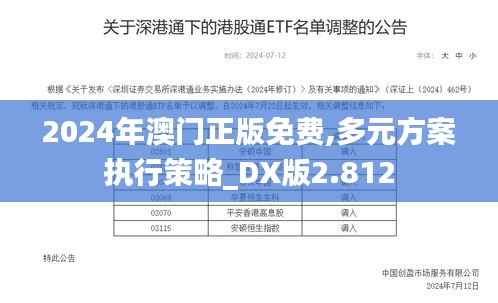 2024年澳门正版免费,多元方案执行策略_DX版2.812