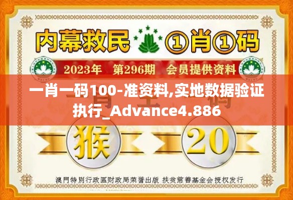 一肖一码100-准资料,实地数据验证执行_Advance4.886