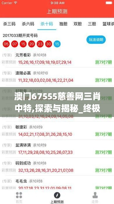 澳门67555慈善网三肖中特,探索与揭秘_终极版9.471
