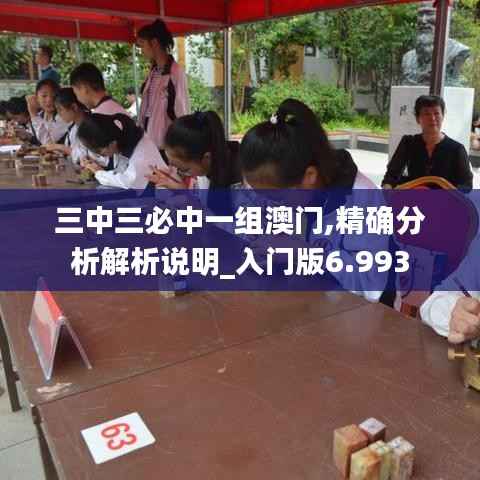 三中三必中一组澳门,精确分析解析说明_入门版6.993