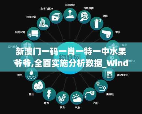 新澳门一码一肖一特一中水果爷爷,全面实施分析数据_Windows2.162