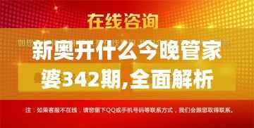 新奥开什么今晚管家婆342期,全面解析与深度探讨_M版4.172