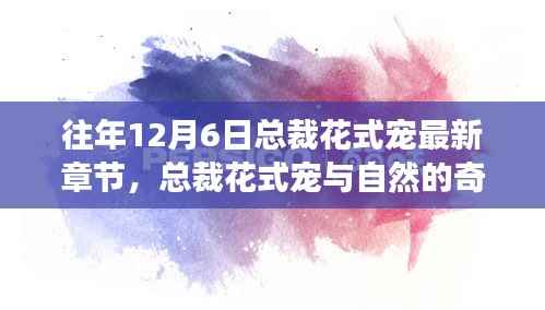 总裁花式宠,与自然交融的心灵之旅