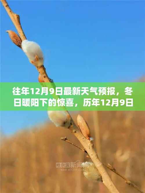历年12月9日天气预报揭秘,冬日暖阳下的温馨家园故事