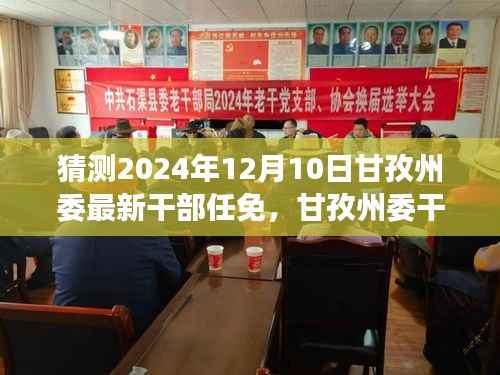 2024年甘孜州委干部任免猜想,展望与影响