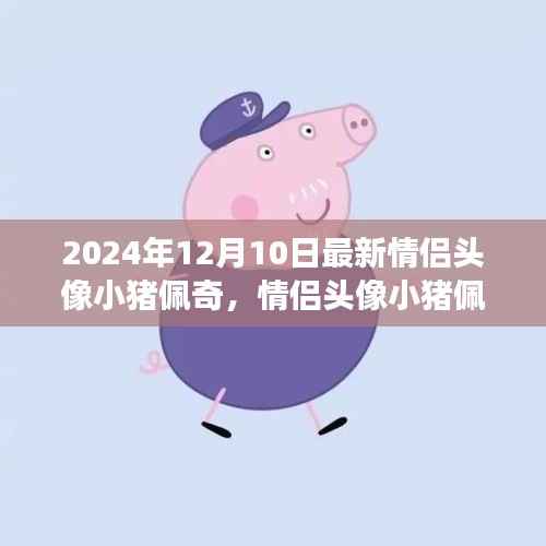 深度解析情侣头像小猪佩奇现象,观点碰撞与个人立场