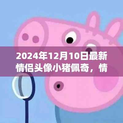 深度解析情侣头像小猪佩奇现象,观点碰撞与个人立场
