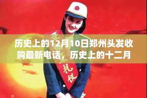 揭秘历史上的郑州头发收购电话背后的故事,最新收购电话揭晓于十二月十日