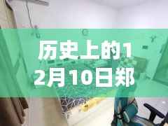 揭秘历史上的郑州头发收购电话背后的故事,最新收购电话揭晓于十二月十日