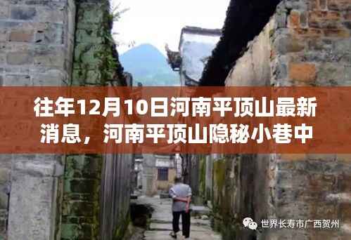 河南平顶山隐秘小巷的美食奇迹,最新探秘报告揭秘味觉奇迹的奥秘(最新消息)