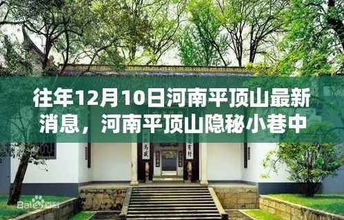 河南平顶山隐秘小巷的美食奇迹,最新探秘报告揭秘味觉奇迹的奥秘(最新消息)