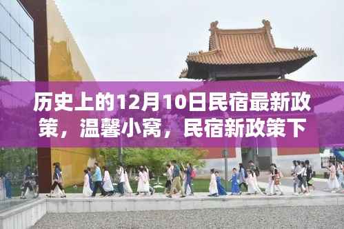 温馨小窝新篇章,民宿新政策下的奇妙际遇与历史回望(12月10日)