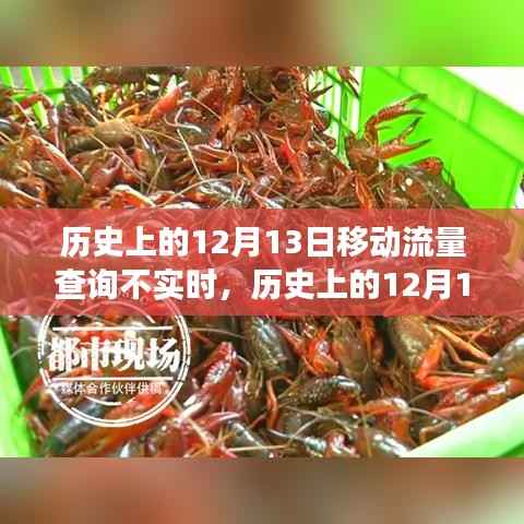历史上的12月13日,移动流量查询失误背后的故事及影响