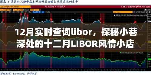 探秘小巷深处的十二月LIBOR风情小店,实时查询之旅揭秘LIBOR魅力