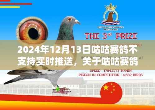 关于咕咕赛鸽在特定日期的实时推送服务暂停解析,原因与影响