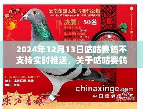 关于咕咕赛鸽在特定日期的实时推送服务暂停解析,原因与影响