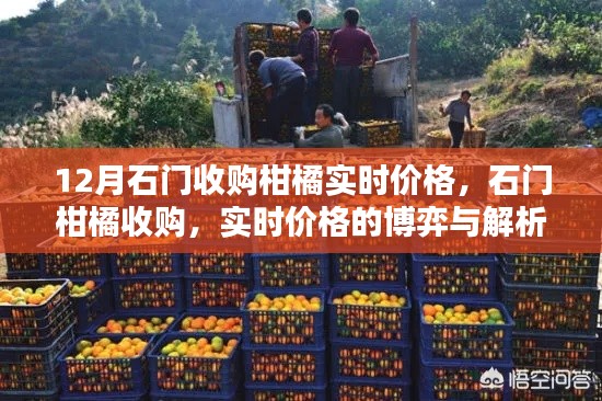 石门柑橘收购实时价格解析,博弈与趋势探讨