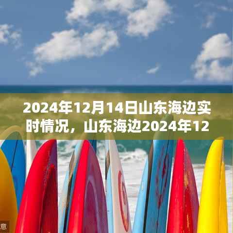 山东海边2024年12月14日实时情况全面解析