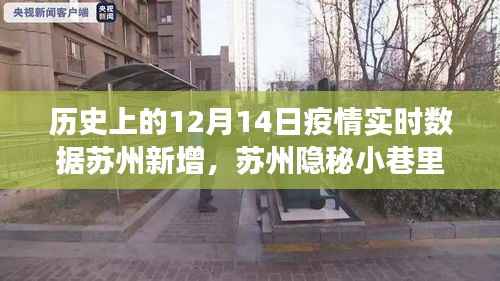 苏州隐秘小巷里的抗疫故事,历史数据与探索之旅的交汇点