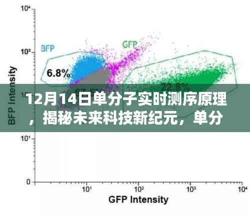 揭秘单分子实时测序原理,开启未来科技新纪元,颠覆性体验触手可及