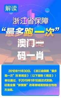 澳门一码一肖一特一中大羸家,详细解读解释落实_bundle1.401