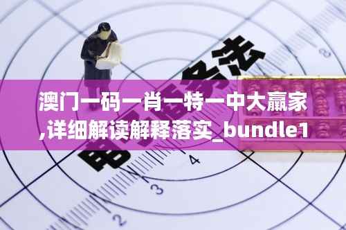 澳门一码一肖一特一中大羸家,详细解读解释落实_bundle1.401