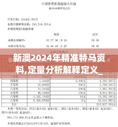 新澳2024年精准特马资料,定量分析解释定义_DX版16.506