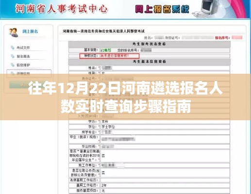 河南遴选报名人数实时查询步骤指南,历年12月22日数据汇总