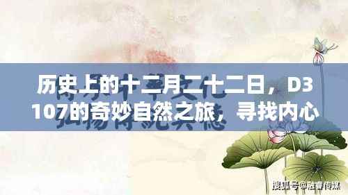 D3107的十二月二十二日自然之旅,探寻内心宁静与平和的奇妙之旅