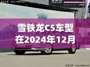 雪铁龙C5车型深度评测,2024年实时油耗表现解析