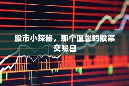 股市小探秘,温馨股票交易日的奥秘