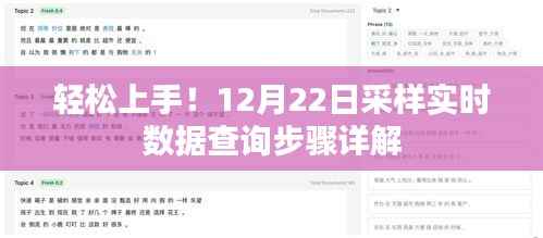 轻松上手!实时数据查询步骤详解(12月22日采样)
