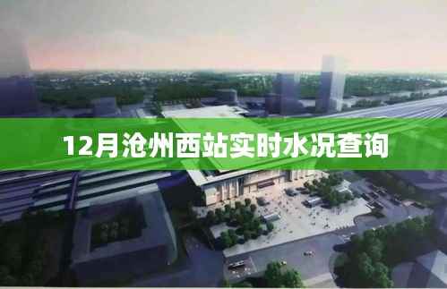 沧州西站12月实时水况查询报告