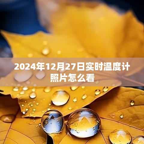 如何解读实时温度计照片,2024年12月27日指南