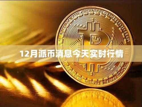 最新消息,12月派币实时行情更新